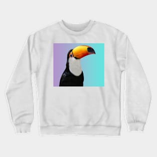 Toucan over a gradient background Crewneck Sweatshirt